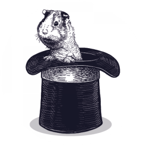 Mago en Bogotá - Germán Arciniegas